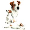 Fox Terrier