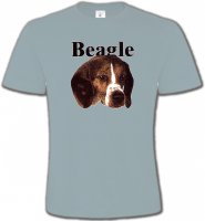 Beagle tête