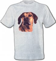 Rhodesian Ridgeback (A)