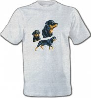 Rottweiler (D)