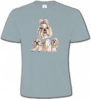 Shih Tzu (A)