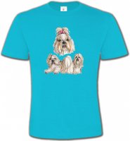 Shih Tzu (A)