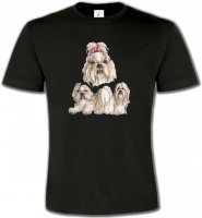 Shih Tzu (A)