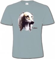 Lévrier Persan Saluki (K)