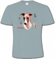 Lévrier Whippet (B)
