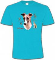 Lévrier Whippet (B)