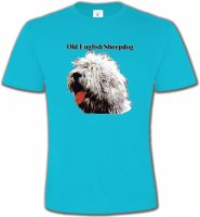 Tête de Bobtail Berger Anglais (A)