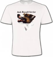 Jack Russell Terrier (I)
