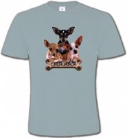 Chihuahua bébés (A)