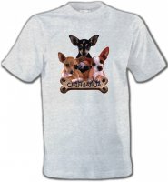 Chihuahua bébés (A)