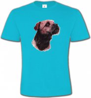 Border Collie Terrier brun (L)