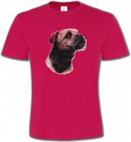 Border Collie Terrier brun (L)