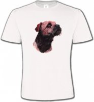 Border Collie Terrier brun (L)