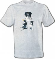 Border Collie noir et blanc (B)