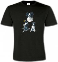 Border Collie noir et blanc (B)