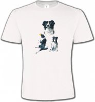 Border Collie noir et blanc (B)