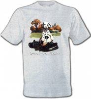 Dalmatien Football(M)
