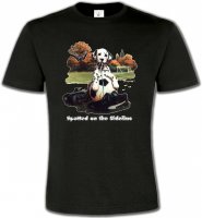 Dalmatien Football(M)
