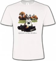 Dalmatien Football(M)