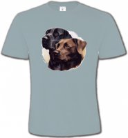 Labrador noir et chocolat (A)