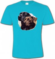 Labrador noir et chocolat (A)