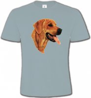 Labrador sable (J)