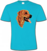 Labrador sable (J)