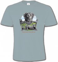 Labrador paysage gris paysage (O)