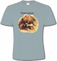 Spitz Poméranien (B)