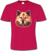 Spitz Poméranien (C)