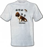 Basset Hound 