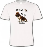 Basset Hound 