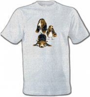 Basset Hound