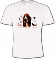 Basset Hound tête