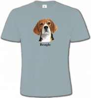 Beagle 