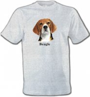 Beagle 