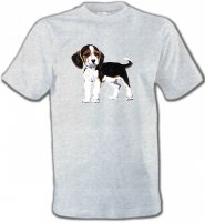 Beagle chiot 