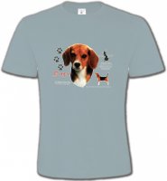 Beagle tête
