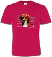 Beagle tête
