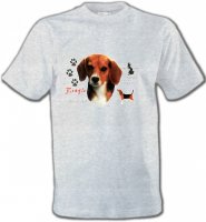 Beagle tête