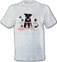 Bébé Berger Allemand