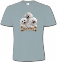 Bichon Frisé chiots (A)