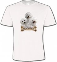Bichon Frisé chiots (A)