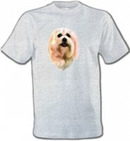 Bichon Maltais (D)
