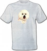 Bichon frisé (B)