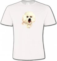 Bichon frisé (B)