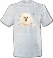 Bichon Frisé blanc (C)