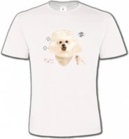 Bichon Frisé blanc (C)