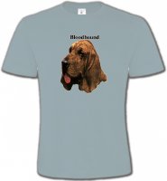 Bloodhound €“ Saint-Hubert (A)