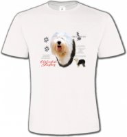 Bobtai Berger Anglaisl (C)